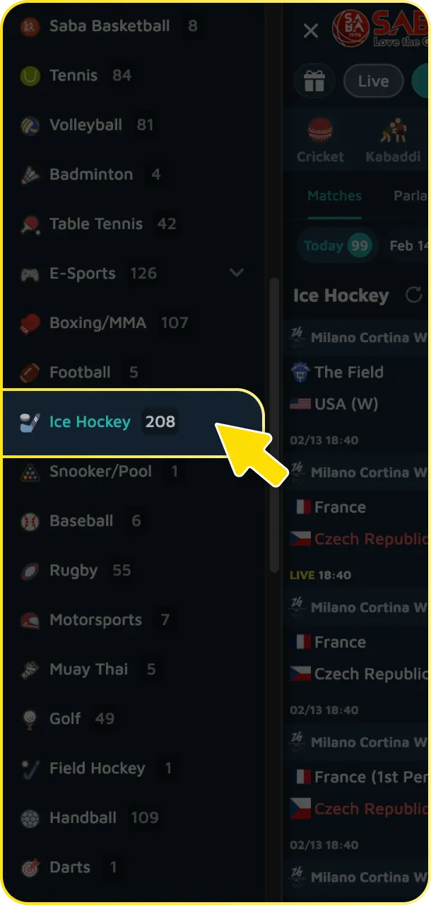 Open ice hockey and pick a league to bet at Babu88.