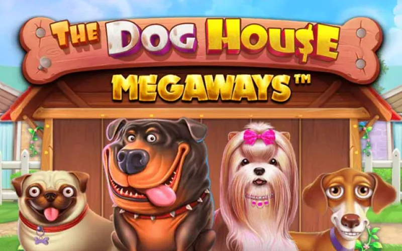 Play The Dog House Megaways slot for big wins at Babu88.